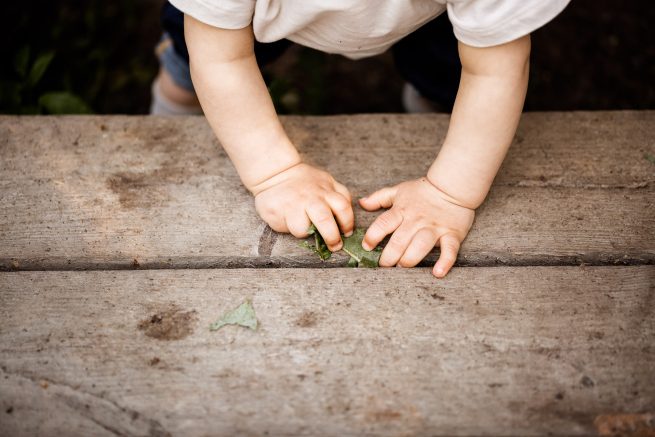 1-vuotiskuvaus luonnossa, yksityiskohta - Helsinki - Siru Danielsson Photography